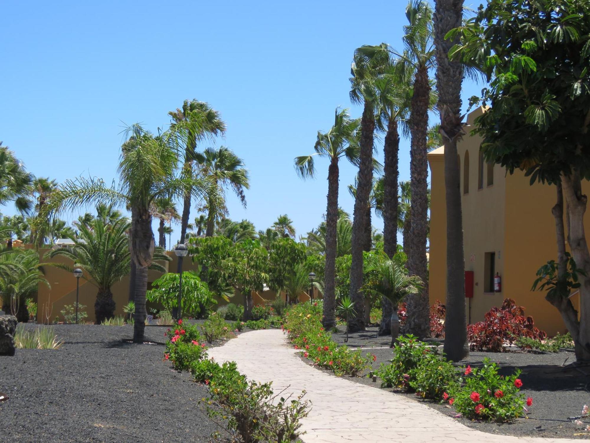 Appartamento Casa Mona Corralejo Esterno foto